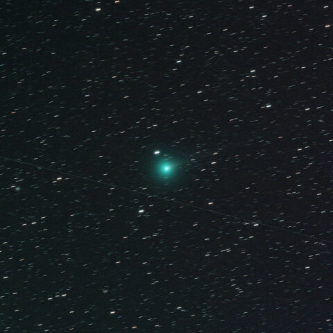 1月8日の紫金山第１彗星 (62P)