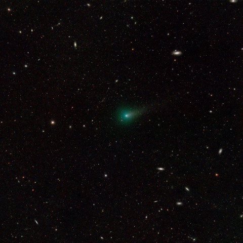 紫金山彗星(62P) 3/9