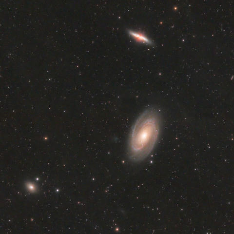 M81