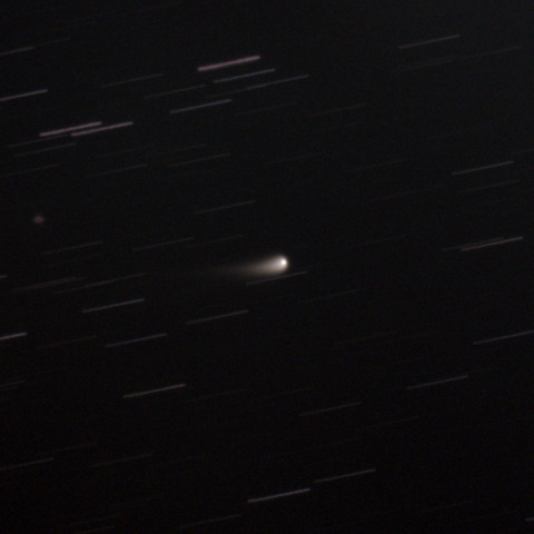 C/2023 A3 紫金山・アトラス彗星 5/5