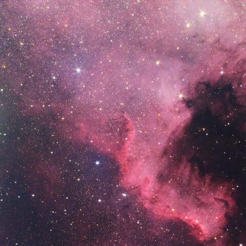 北アメリカ星雲(南部)