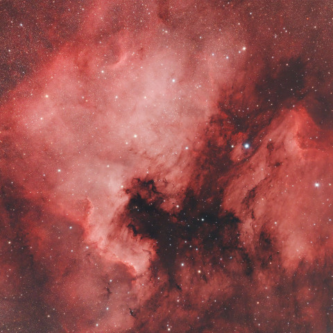 北アメリカ星雲とペリカン星雲