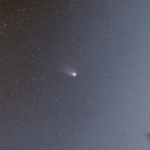 13P オルバース彗星 8月8日