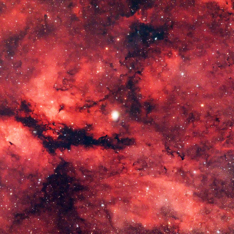 はくちょう座 サドルとその周辺