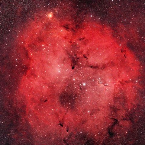 IC1396とガーネットスター