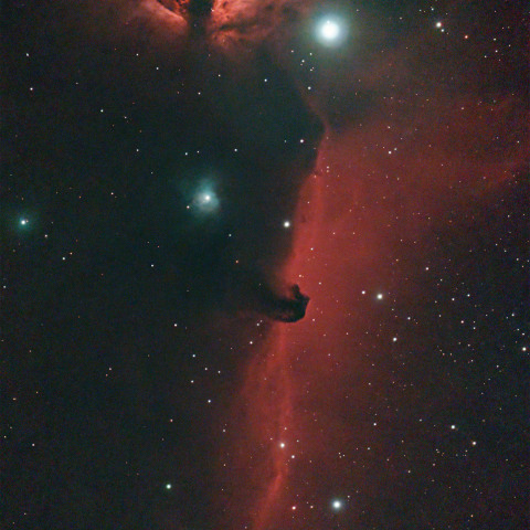 馬頭星雲 Seestar S50 モザイク合成