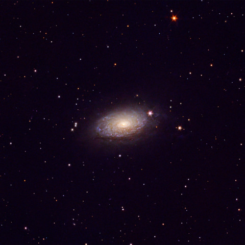 M63 ひまわり銀河