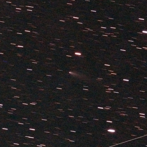 240P ニート彗星 8/31未明