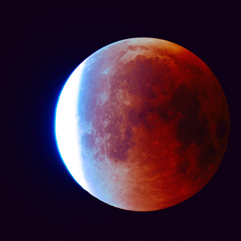 ターコイズフリンジ 2025/9/8