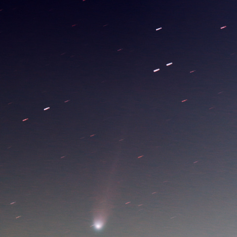 C/2025 A6 レモン彗星 10/17夕