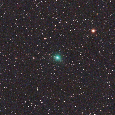 C/2025 R2 SWAN彗星 11/15