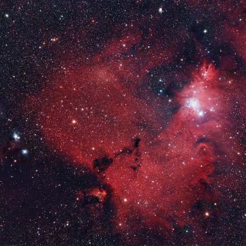 NGC2264 クリスマスツリー星団
