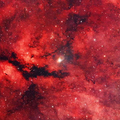 はくちょう座 サドルとその周辺 縦構図