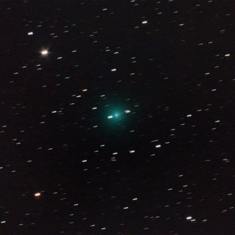 ショーマス彗星(24P) 1/12未明