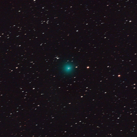 ショーマス彗星(24P) 1/18未明