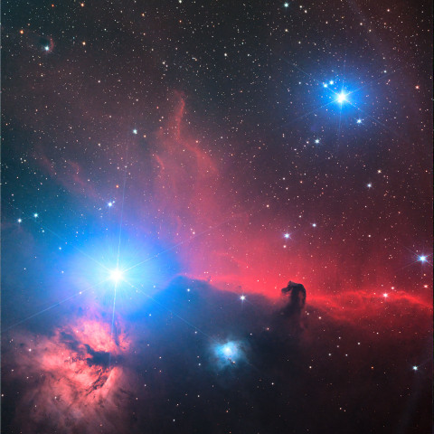 アルニタクに圧倒される馬頭星雲