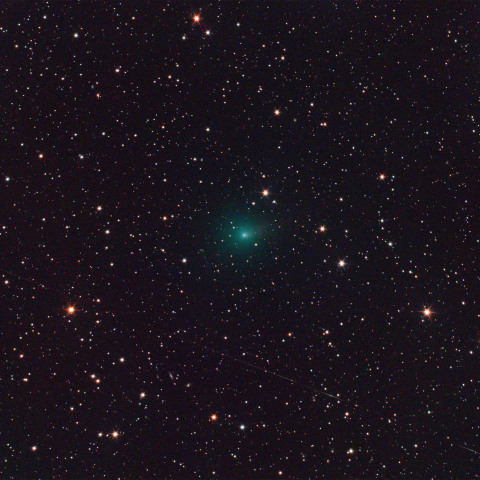 ショーマス彗星(24P) 3/15未明