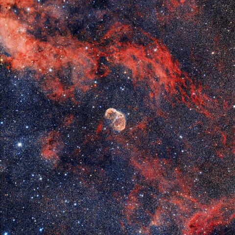 クレセント星雲周辺 (縦構図)