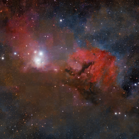 IC348付近の星雲