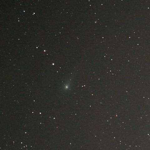 ジョンソン彗星(C/2015 V2)