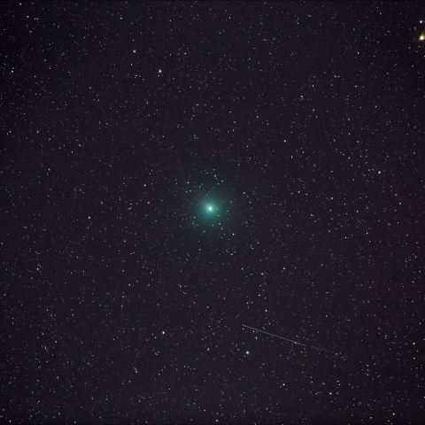 ウィルタネン彗星(46P)