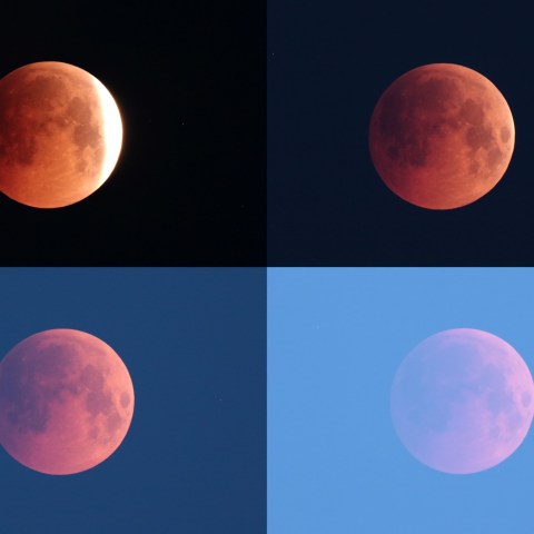 沈んでいく皆既月食