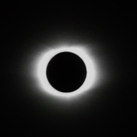 ふじ丸からコロナbyコンデジ