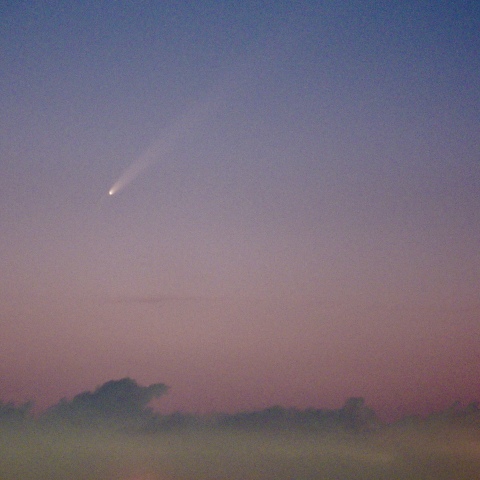 京浜島からの紫金山アトラス彗星