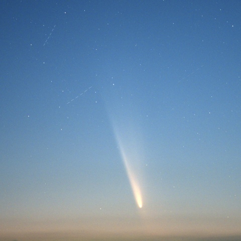 三浦市からの紫金山アトラス彗星