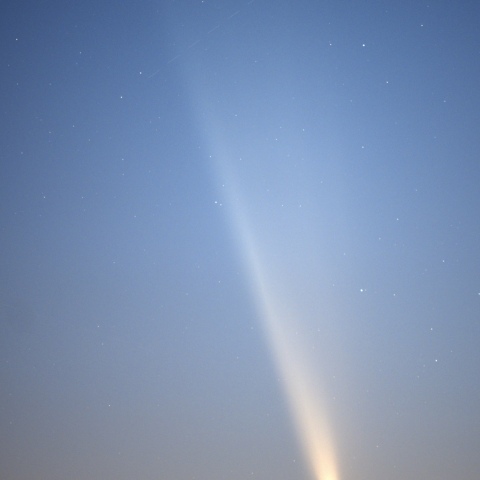 三浦市からの紫金山アトラス彗星2