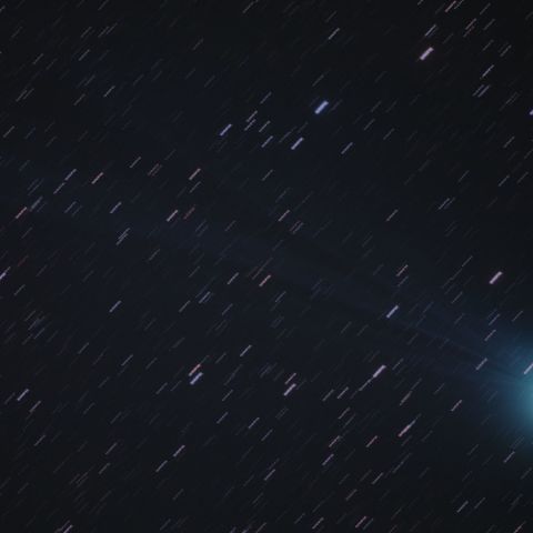 ラブジョイ彗星