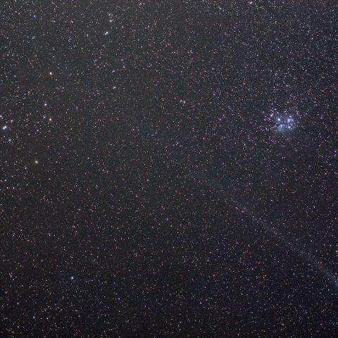 おうし座を行くラブジョイ彗星