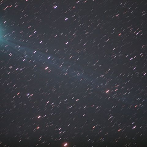 ラブジョイ彗星