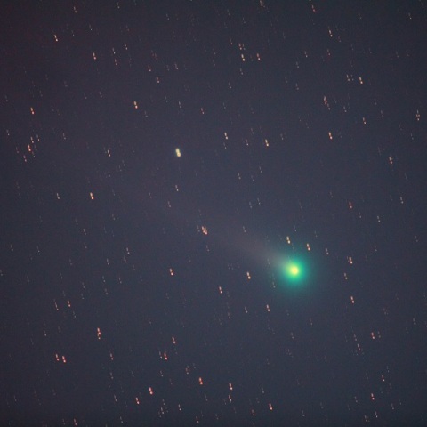 ラブジョイ彗星