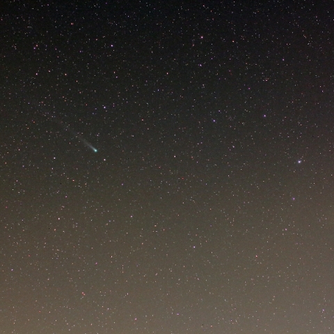 かんむり座とラブジョイ彗星