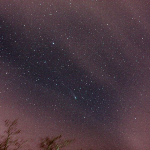 ラブジョイ彗星