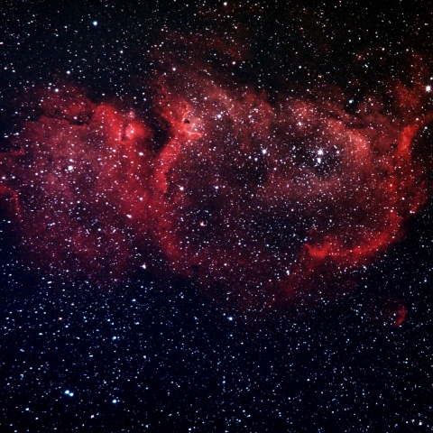 IC1848