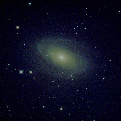 M81