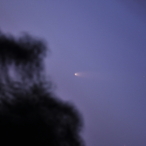 紫金山・アトラス彗星（9月26日朝）