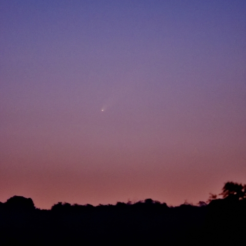 紫金山・アトラス彗星（10月5日早朝）