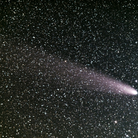 紫金山・アトラス彗星（11月3日）