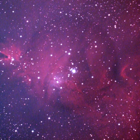 NGC2264