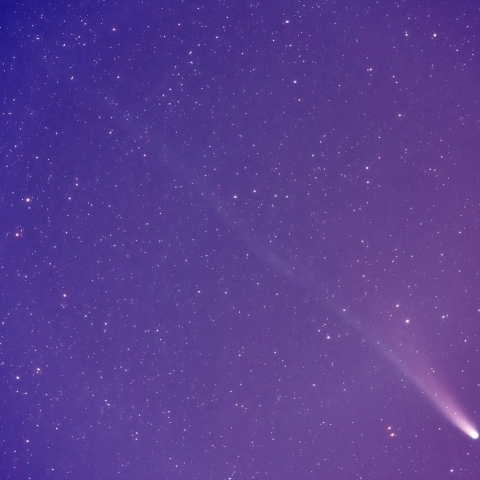 レモン彗星(10/29)