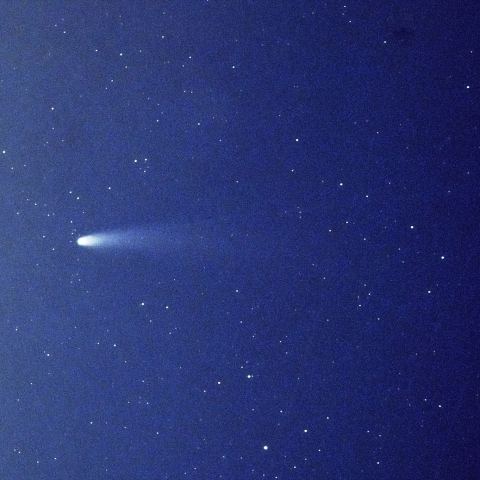 レモン彗星(11/7)