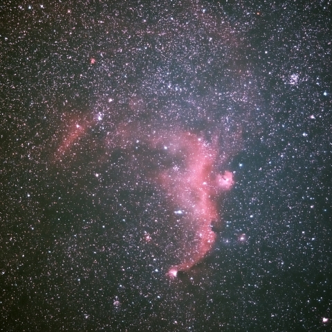 IC2177