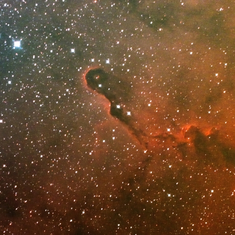 象の鼻星雲