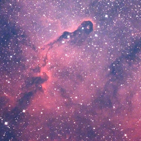 象の鼻星雲