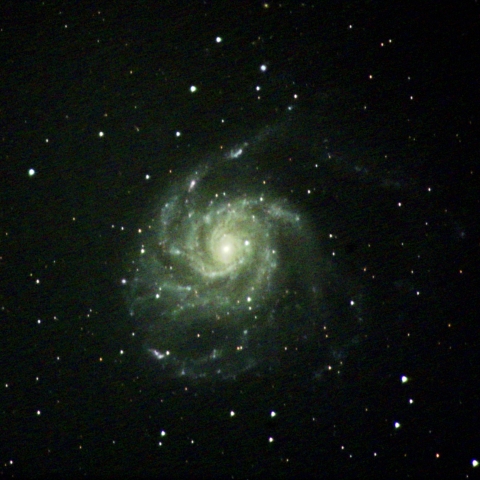 M101
