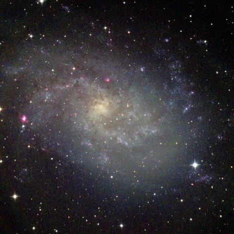 M33