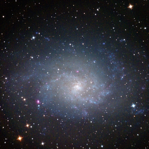 M33